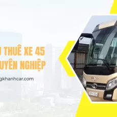 Dịch Vụ Thuê Xe 45 Chỗ Chuyên Nghiệp