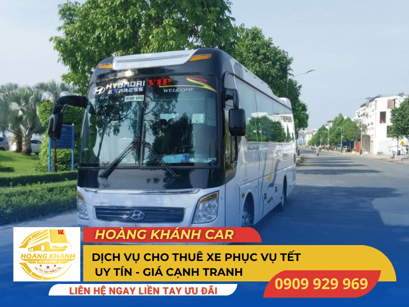 Thuê xe phục vụ Tết - ảnh 3