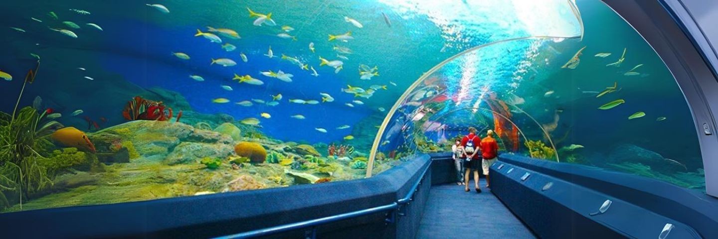 Viện Hải Dương Học