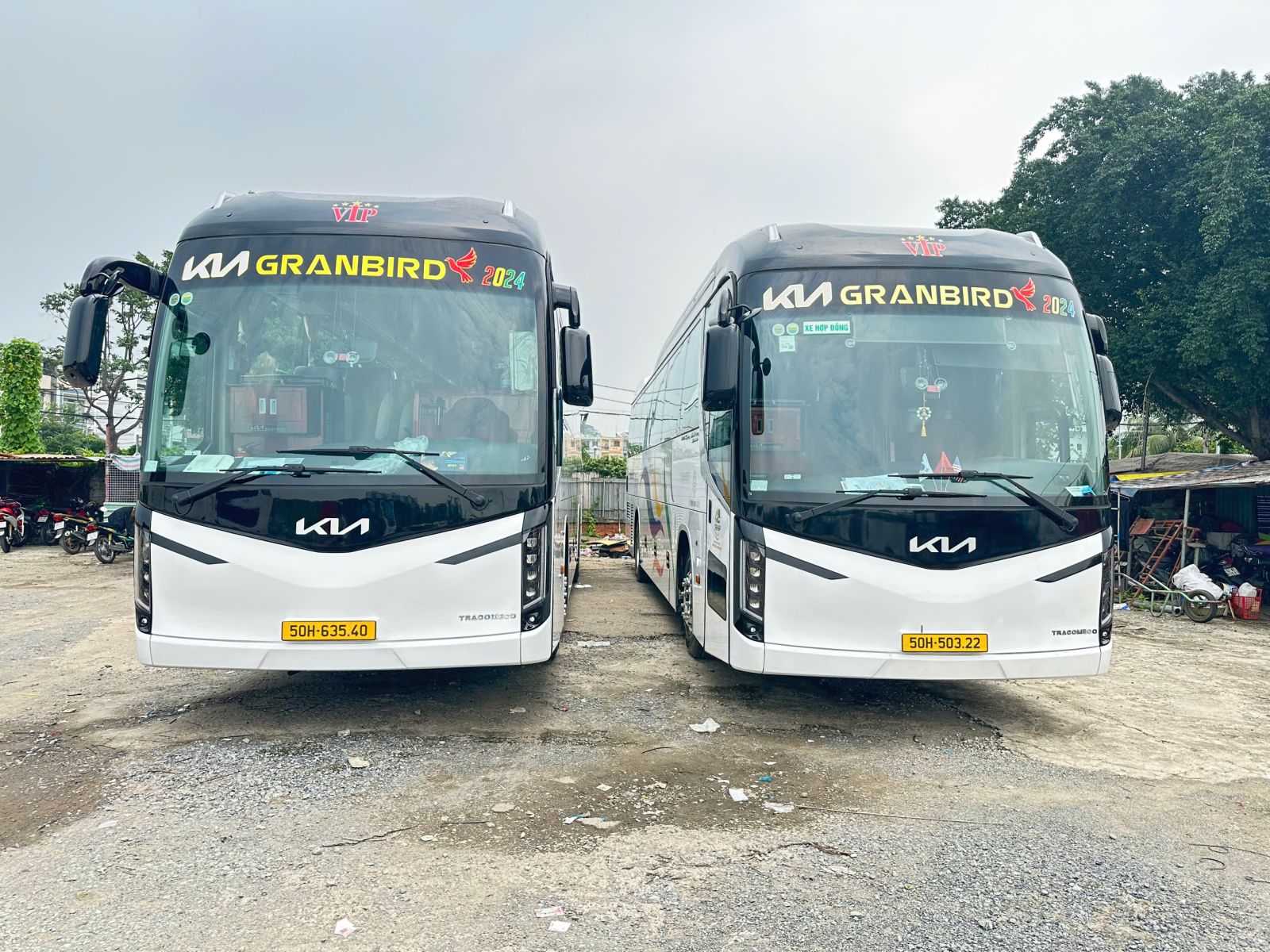 Những Tiện Ích Khi Thuê Xe Du Lịch 45 Chỗ TPHCM